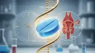 Dłuższy Stosunek i Poziom Testosteronu: Przewodnik Eksperta