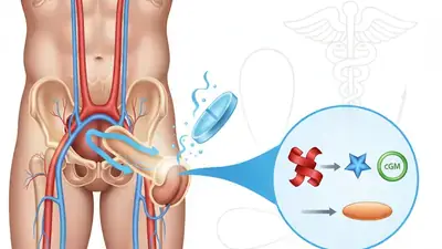 Tabletki na potencję: Mechanizm działania i zastosowanie